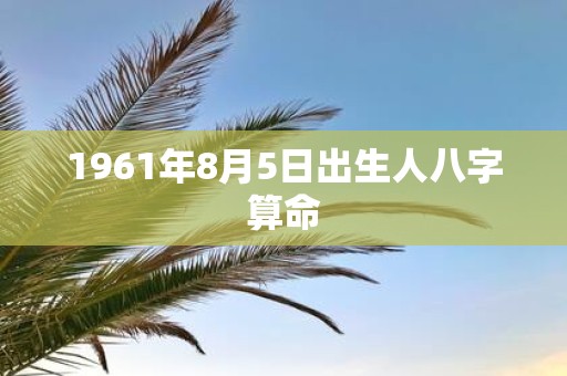 1961年8月5日出生人八字算命