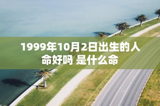 1999年10月2日出生的人命好吗 是什么命
