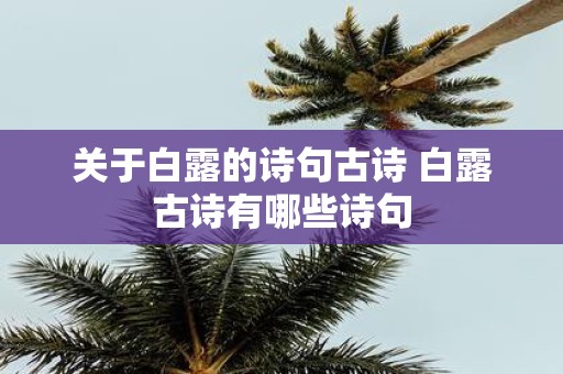 关于白露的诗句古诗 白露古诗有哪些诗句