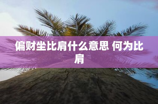偏财坐比肩什么意思 何为比肩