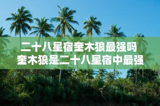 二十八星宿奎木狼最强吗 奎木狼是二十八星宿中最强的吗
