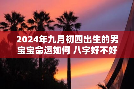 2025年九月初四出生的男宝宝命运如何 八字好不好