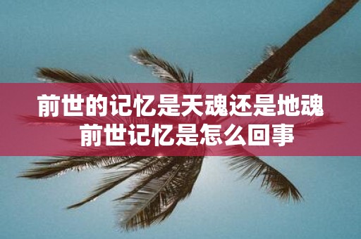 前世的记忆是天魂还是地魂 前世记忆是怎么回事