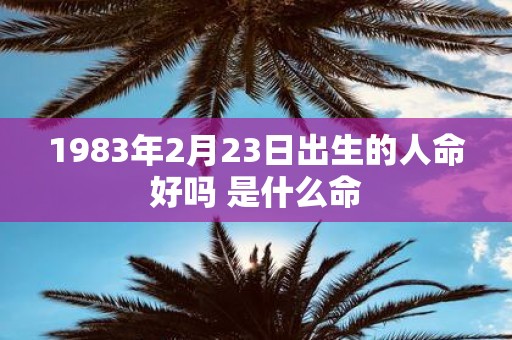1983年2月23日出生的人命好吗 是什么命