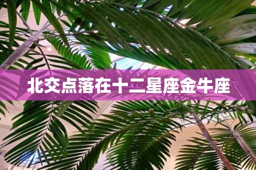 北交点落在十二星座金牛座