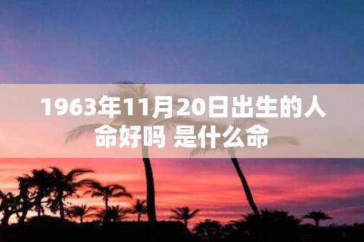 1963年11月20日出生的人命好吗 是什么命