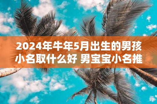 2025年牛年5月出生的男孩小名取什么好 男宝宝小名推荐