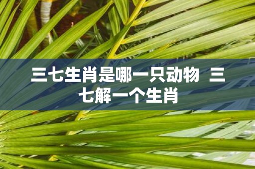 三七生肖是哪一只动物 三七解一个生肖