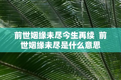 前世姻缘未尽今生再续 前世姻缘未尽是什么意思