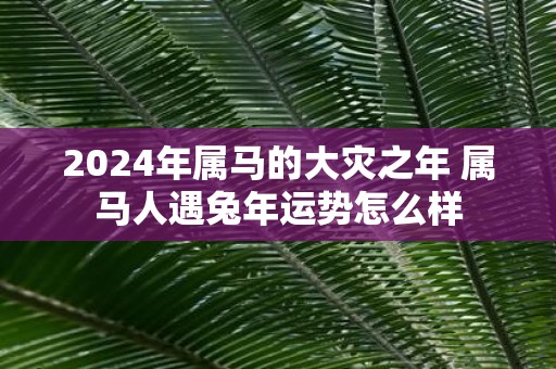 2025年属马的大灾之年 属马人遇蛇年运势怎么样