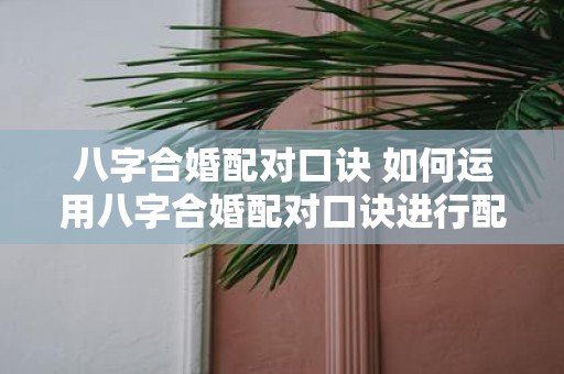 八字合婚配对口诀 如何运用八字合婚配对口诀进行配对