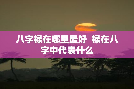 八字禄在哪里最好 禄在八字中代表什么