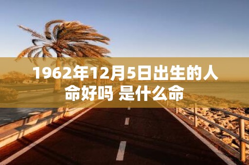 1962年12月5日出生的人命好吗 是什么命