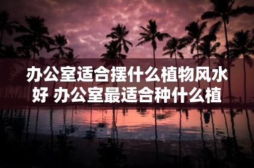 办公室适合摆什么植物风水好 办公室最适合种什么植物