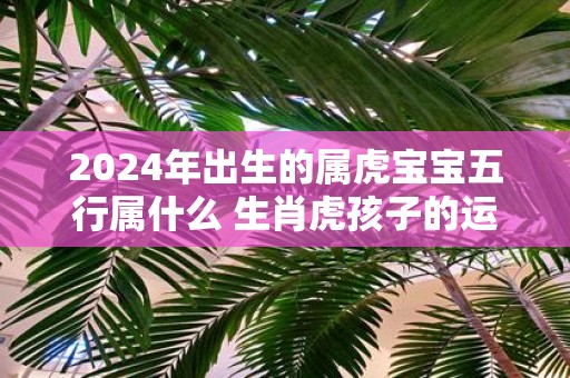 2025年出生的属虎宝宝五行属什么 生肖虎孩子的运势如何