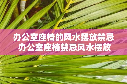 办公室座椅的风水摆放禁忌 办公室座椅禁忌风水摆放