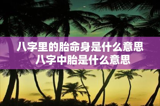 八字里的胎命身是什么意思 八字中胎是什么意思