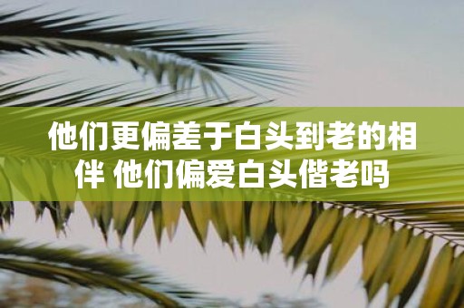 他们更偏差于白头到老的相伴 他们偏爱白头偕老吗