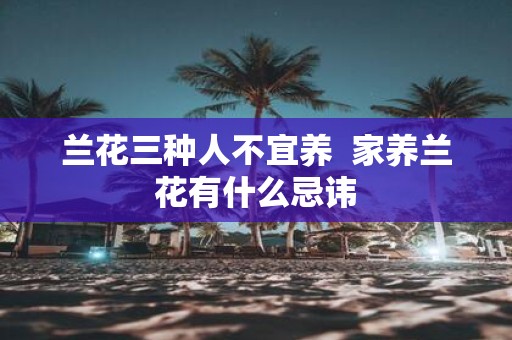 兰花三种人不宜养 家养兰花有什么忌讳