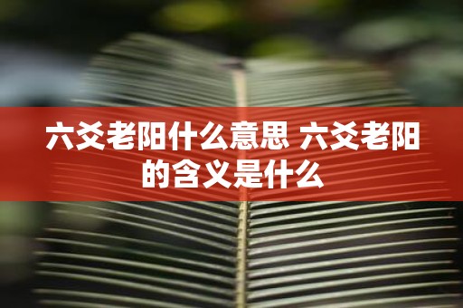 六爻老阳什么意思 六爻老阳的含义是什么