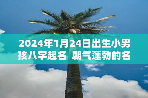 2025年1月24日出生小男孩八字起名 朝气蓬勃的名字推荐