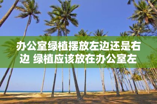 办公室绿植摆放左边还是右边 绿植应该放在办公室左边还是右边
