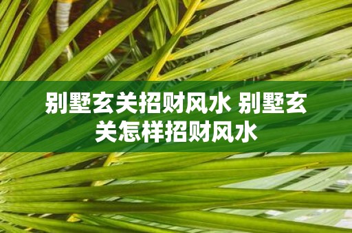 别墅玄关招财风水 别墅玄关怎样招财风水