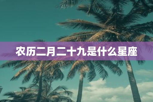 农历二月二十九是什么星座