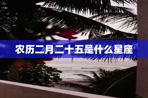 农历二月二十五是什么星座