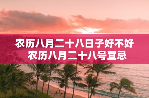 农历八月二十八日子好不好 农历八月二十八号宜忌