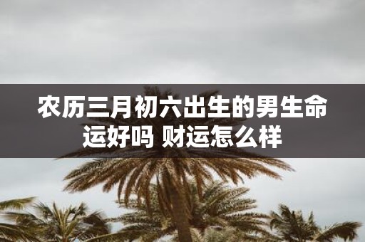 农历三月初六出生的男生命运好吗 财运怎么样