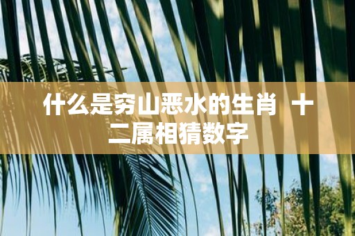 什么是穷山恶水的生肖 十二属相猜数字