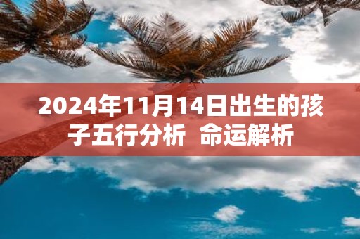 2025年11月14日出生的孩子五行分析 命运解析