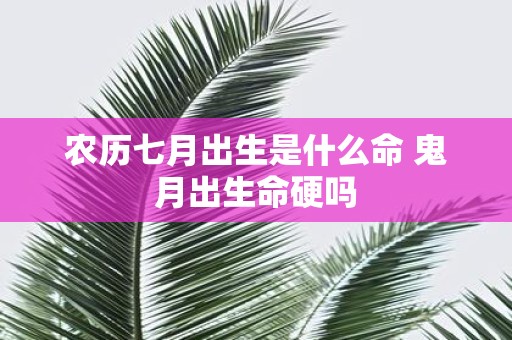 农历七月出生是什么命 鬼月出生命硬吗