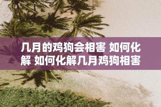 几月的鸡狗会相害 如何化解 如何化解几月鸡狗相害