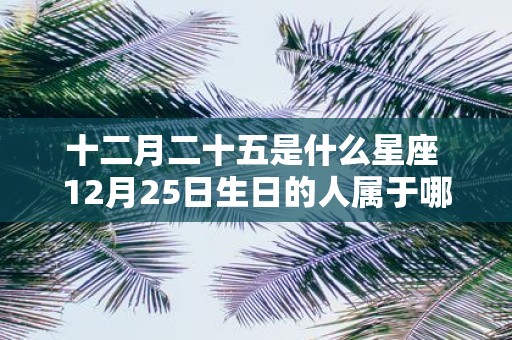 十二月二十五是什么星座 12月25日生日的人属于哪个星座