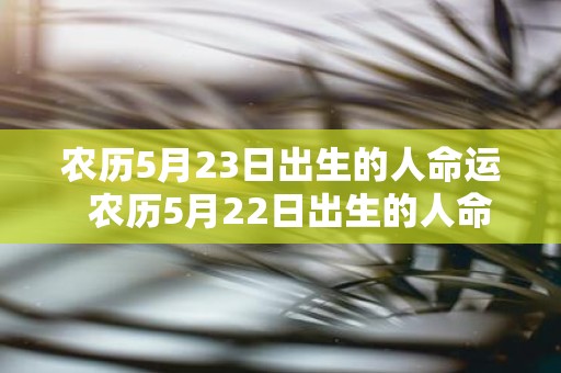 农历5月23日出生的人命运 农历5月22日出生的人命运