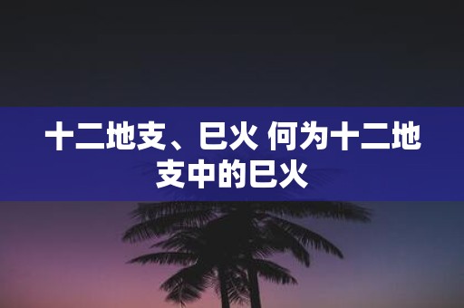 十二地支、巳火 何为十二地支中的巳火