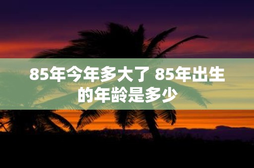 85年今年多大了 85年出生的年龄是多少