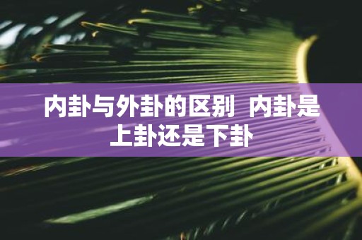 内卦与外卦的区别 内卦是上卦还是下卦