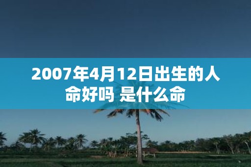 2007年4月12日出生的人命好吗 是什么命