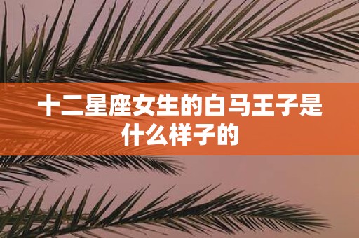十二星座女生的白马王子是什么样子的