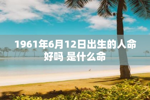 1961年6月12日出生的人命好吗 是什么命