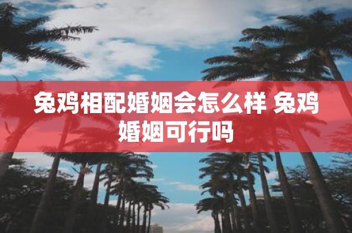 兔鸡相配婚姻会怎么样 兔鸡婚姻可行吗