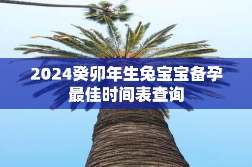 2025癸卯年生兔宝宝备孕最佳时间表查询