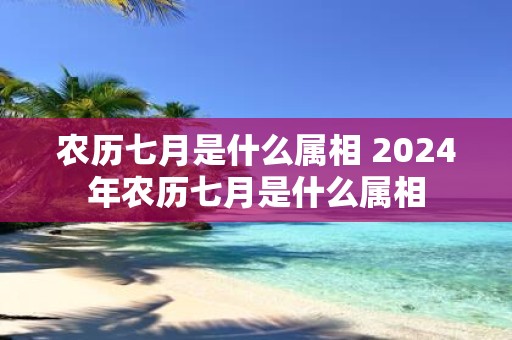 农历七月是什么属相 2025年农历七月是什么属相