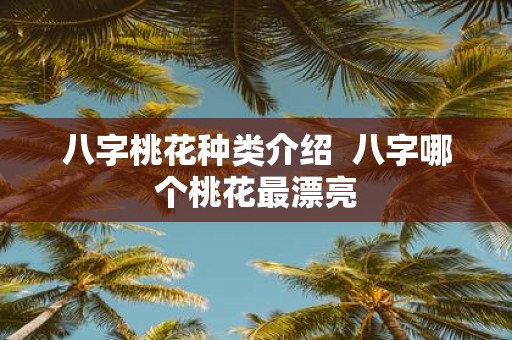 八字桃花种类介绍 八字哪个桃花最漂亮