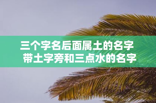 三个字名后面属土的名字 带土字旁和三点水的名字