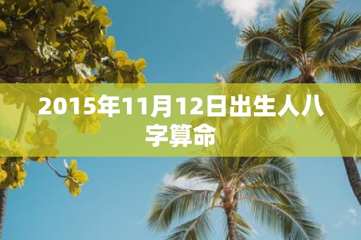 2015年11月12日出生人八字算命