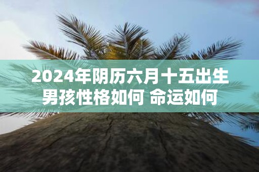 2025年阴历六月十五出生男孩性格如何 命运如何